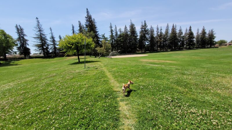 Vinewood Park - Lodi, CA
