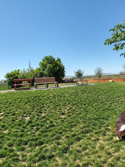 Cache Humane Society Dog Park - Logan, UT