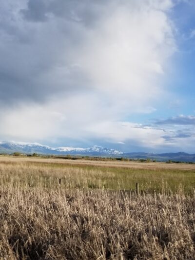 Cache Humane Society Dog Park - Logan, UT