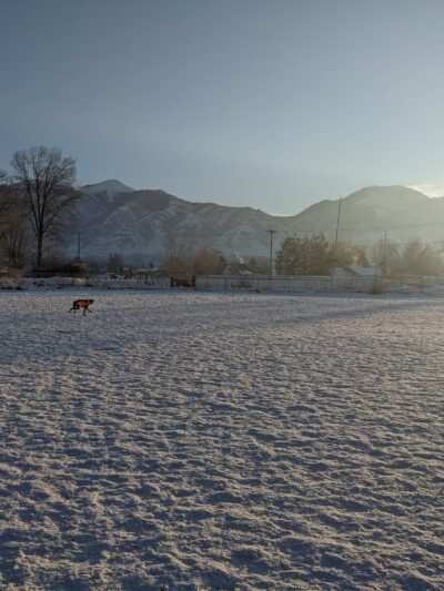 Dog Park - Logan, UT