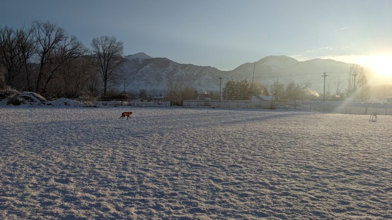 Dog Park - Logan, UT