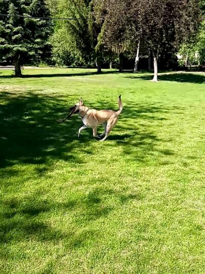 Kilowatt Park - Logan, UT