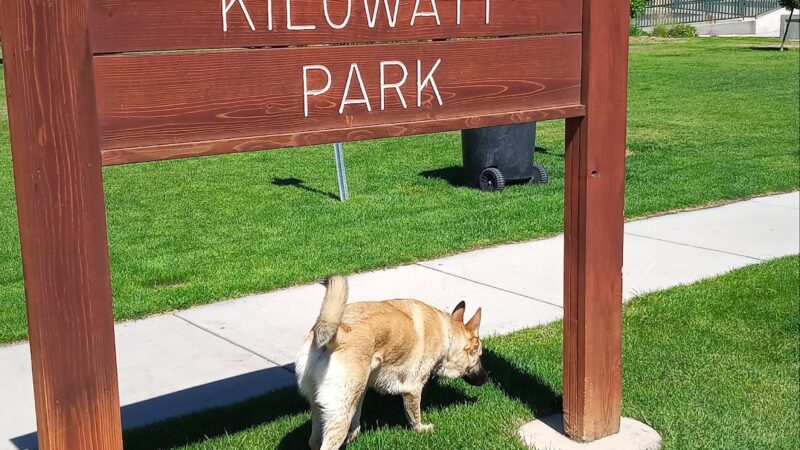 Kilowatt Park - Logan, UT