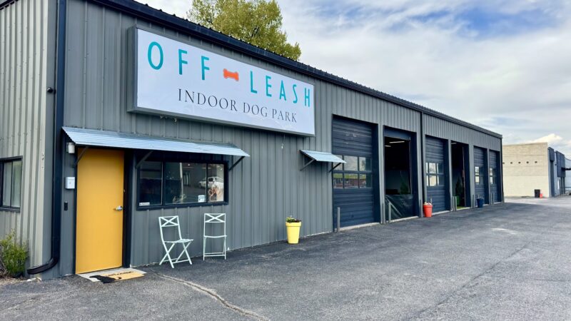 OFF-LEASH Indoor Dog Park - Logan, UT