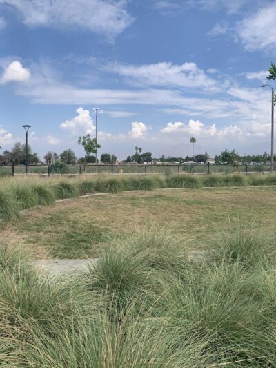 Citrus Trails Dog Park - Loma Linda, CA
