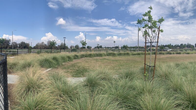 Citrus Trails Dog Park - Loma Linda, CA