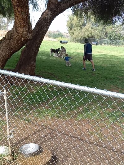 Loma Linda Large Dog Park - Loma Linda, CA