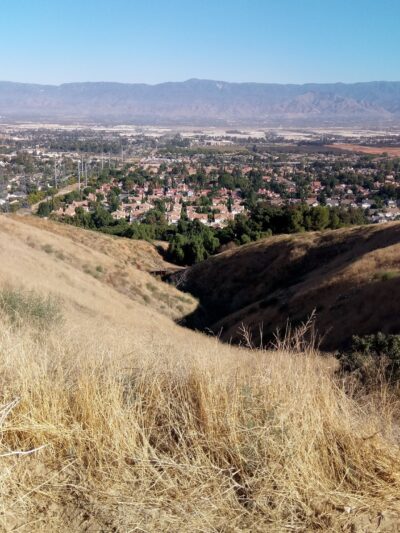 Loma Linda Large Dog Park - Loma Linda, CA