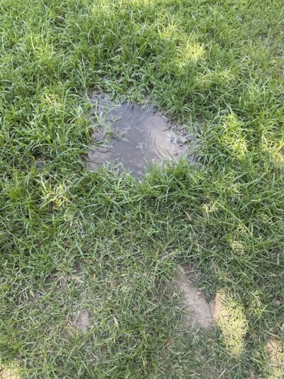 Loma Linda Small Dog Park - Loma Linda, CA