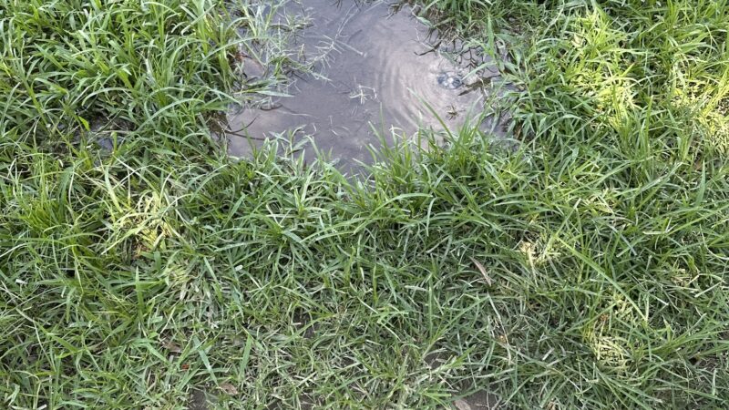 Loma Linda Small Dog Park - Loma Linda, CA