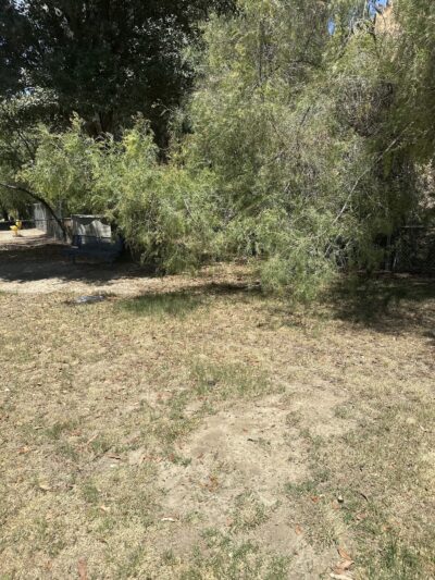 Loma Linda Small Dog Park - Loma Linda, CA