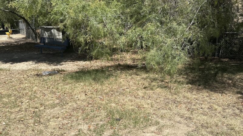 Loma Linda Small Dog Park - Loma Linda, CA