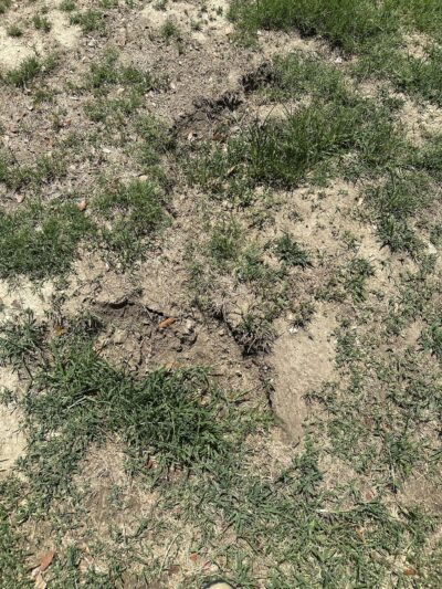 Loma Linda Small Dog Park - Loma Linda, CA