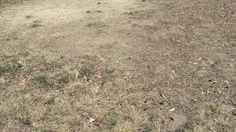 Loma Linda Small Dog Park - Loma Linda, CA