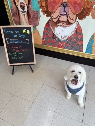 Gone to The Dogs - London, KY