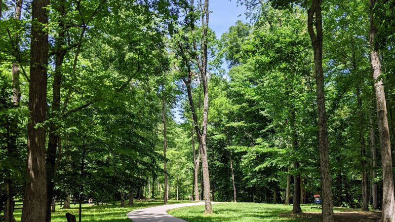 Whitley Branch Veterans Park - London, KY