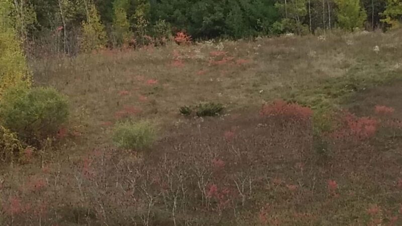 Continental Recreation Park - Londonderry, NH