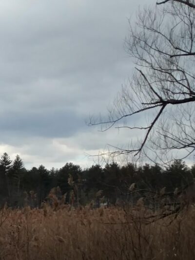 Continental Recreation Park - Londonderry, NH