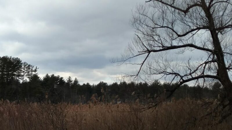 Continental Recreation Park - Londonderry, NH