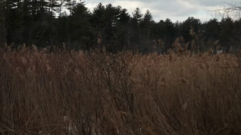 Continental Recreation Park - Londonderry, NH