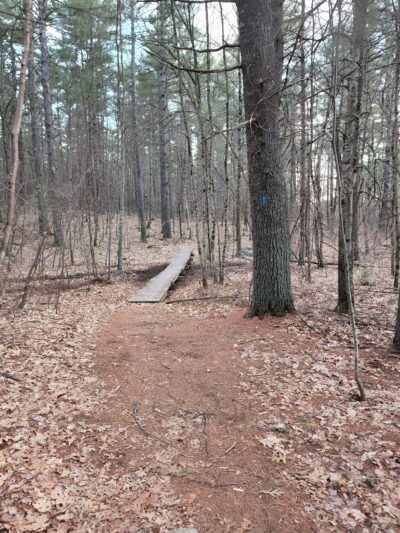 Kendall Pond Conservation Area - Londonderry, NH