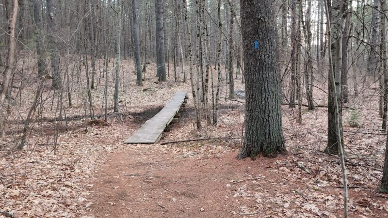 Kendall Pond Conservation Area - Londonderry, NH