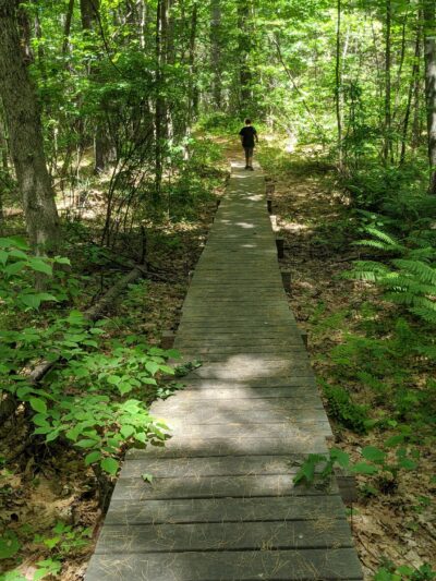 Kendall Pond Conservation Area - Londonderry, NH