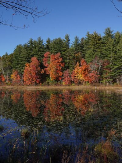 Londonderry Rail Trail - Londonderry, NH