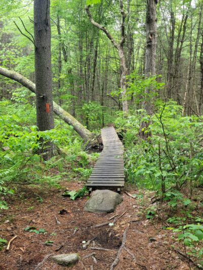 Musquash Conservation Area - Londonderry, NH