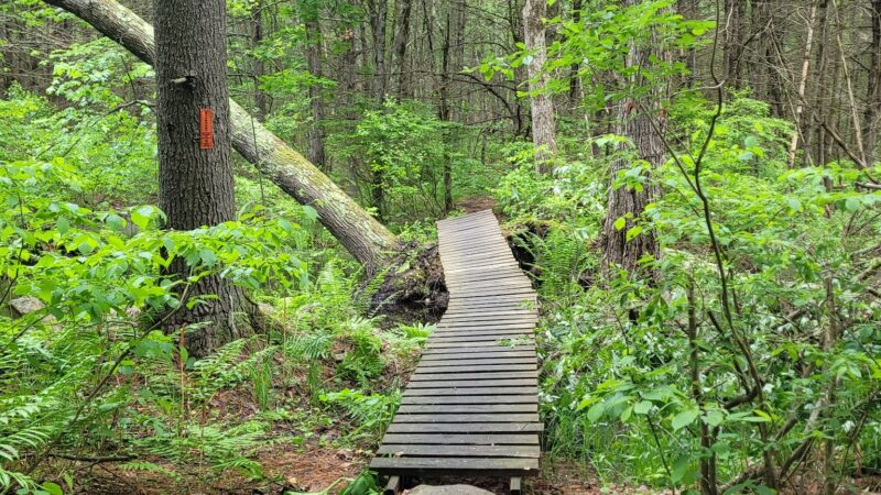 Musquash Conservation Area - Londonderry, NH