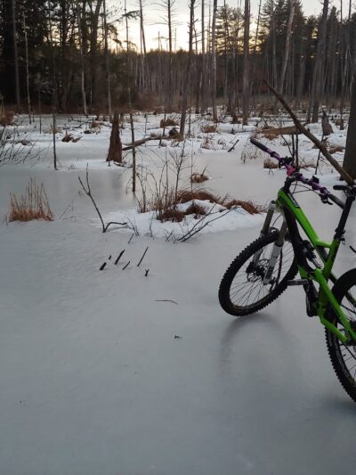 Musquash Conservation Area - Londonderry, NH