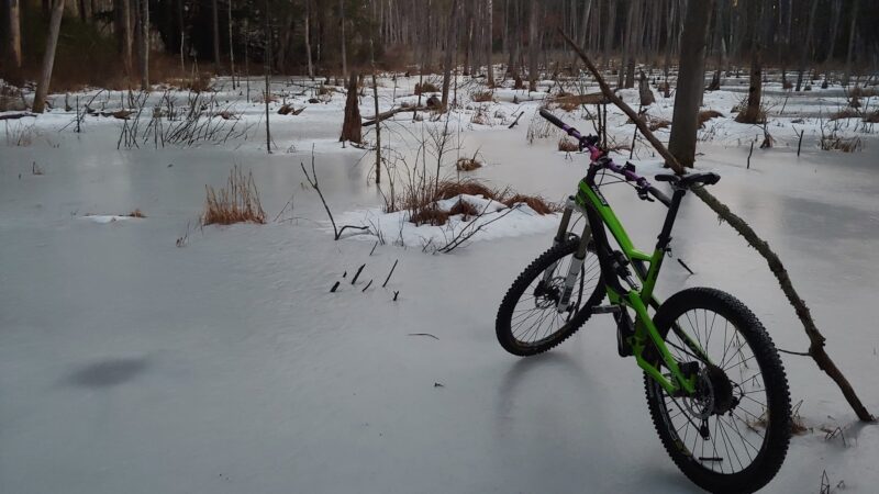 Musquash Conservation Area - Londonderry, NH