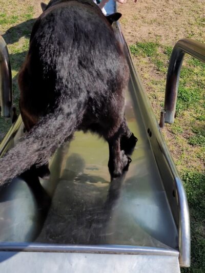 Sullivan Park - Lone Grove, OK