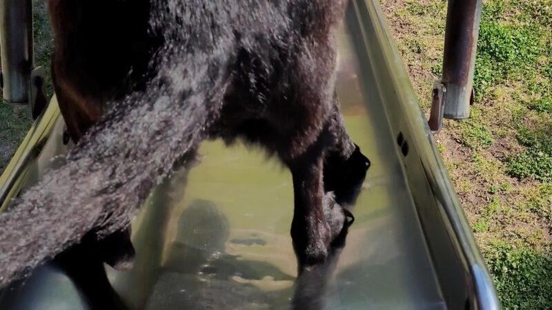 Sullivan Park - Lone Grove, OK