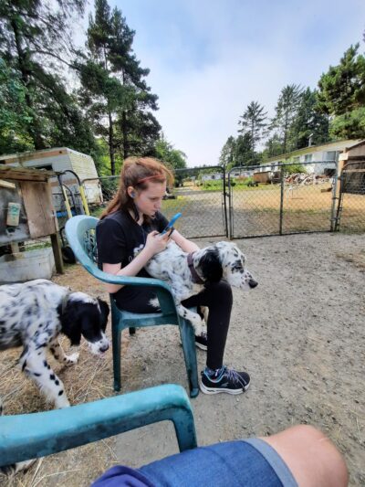 Paintings by Goats - Long Beach, WA