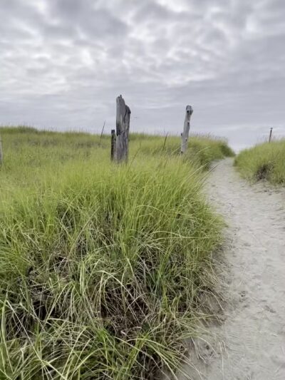 The Lamp Camp - Long Beach, WA