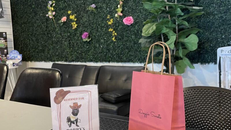 Doggie Sweets - Long Branch, NJ