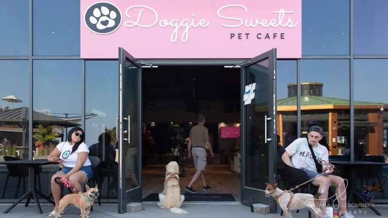 Doggie Sweets - Long Branch, NJ