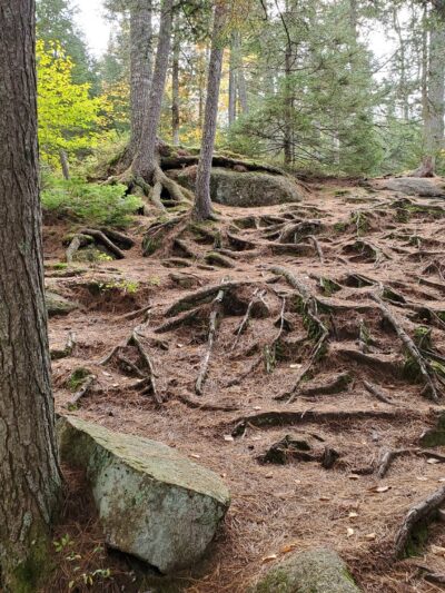 Buttermilk Falls - Long Lake, NY