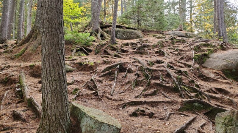 Buttermilk Falls - Long Lake, NY
