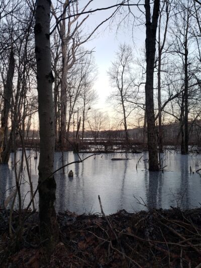 Long Pond Conservation Easement - Long Pond, PA