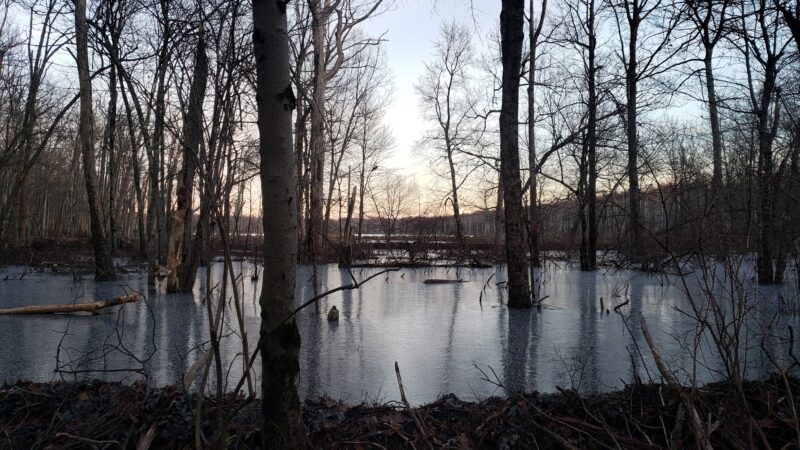 Long Pond Conservation Easement - Long Pond, PA
