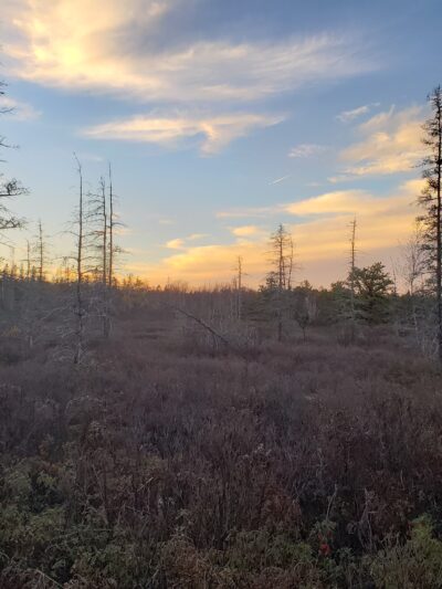 Long Pond Conservation Easement - Long Pond, PA