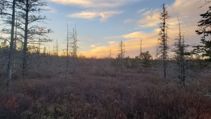 Long Pond Conservation Easement - Long Pond, PA