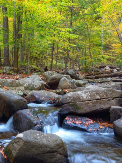 Hacklebarney State Park - Long Valley, NJ