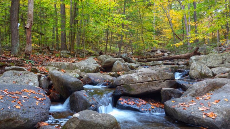 Hacklebarney State Park - Long Valley, NJ