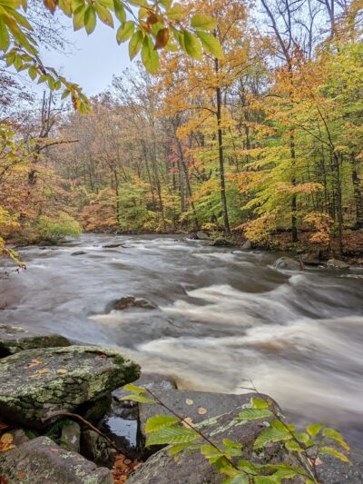Hacklebarney State Park - Long Valley, NJ