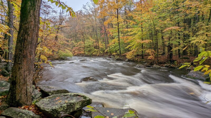 Hacklebarney State Park - Long Valley, NJ
