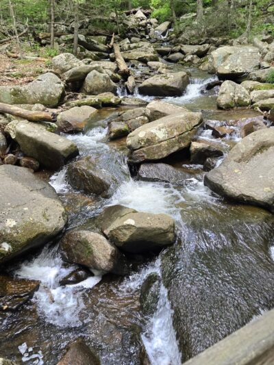 Hacklebarney State Park - Long Valley, NJ