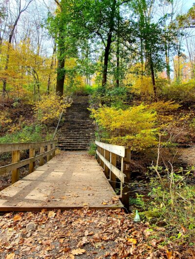 Hacklebarney State Park - Long Valley, NJ